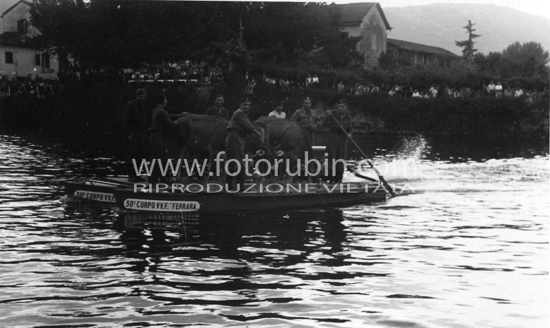 MANIFESTAZIONE A SERMIDE 16-09-1951
FOTO STORICHE VIGILI DEL FUOCO