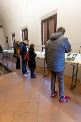 VISITA TURISMO MUSEO CASTELLO ESTENSE FERRARA